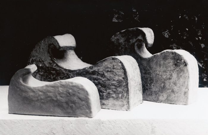 Humboldtov dar 1983